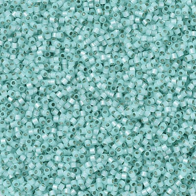 MIYUKI Delica Beads SEED-X0054-DB0626-1