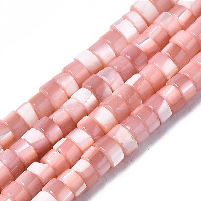 Natural Trochus Shell Beads Strands X-SHEL-S278-027H-1