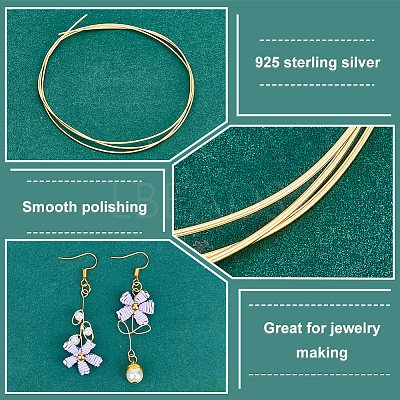 50CM Sterling Silver Wire STER-PH0001-19A-1