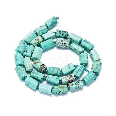 Natural Peruvian Turquoise(Jasper) Beads Strands G-O170-138-1