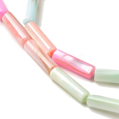 Rainbow Color Dyed Natural Freshwater Shell Beads Strands SHEL-G018-02B-1