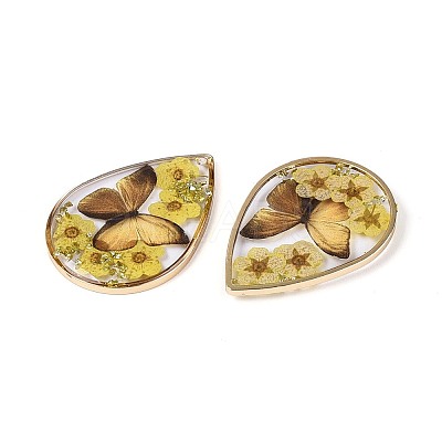 Transparent Epoxy Resin Pendants RESI-T059-20B-1