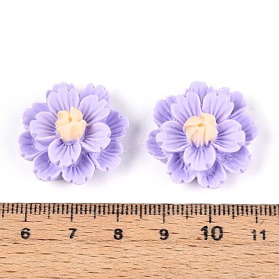 Resin Decoden Cabochons CRES-T025-04D-1