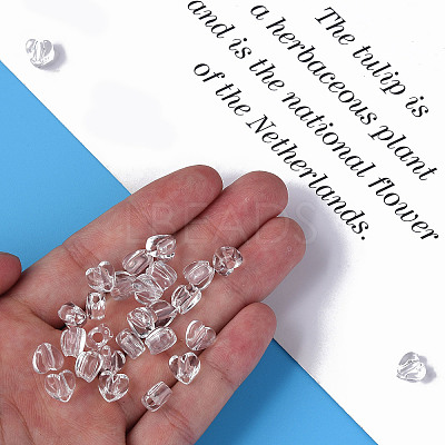 Transparent Acrylic Beads X-MACR-S373-95-B-1
