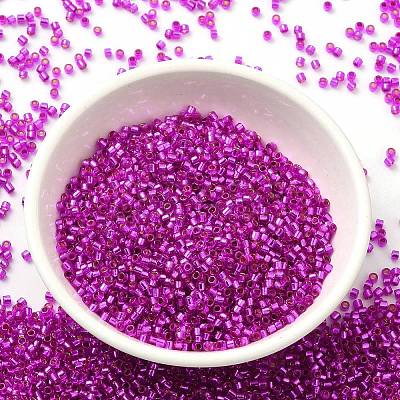 Glass Seed Beads SEED-S042-04B-21-1