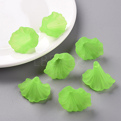 Transparent Acrylic Beads BSF796-C18-1