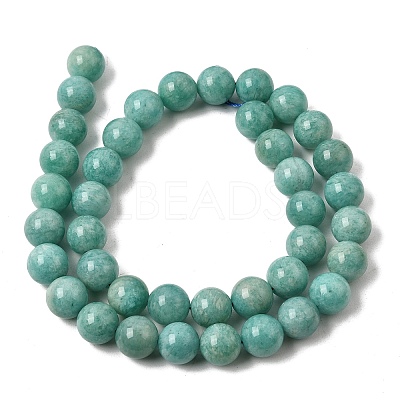 Natural Amazonite Bead Strands G-P204-02-10mm-1
