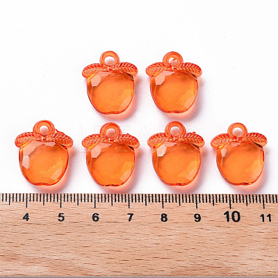 Transparent Acrylic Pendants TACR-S154-28B-84-1