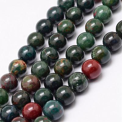 Natural Indian Bloodstone Beads Strands G-P257-07-8mm-1