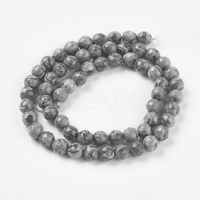 Natural Map Stone/Picasso Stone/Picasso Jasper Strands G-G099-6mm-27-1