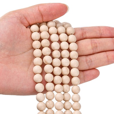 Natural Fossil Beads Strands G-E110-8mm-2-1