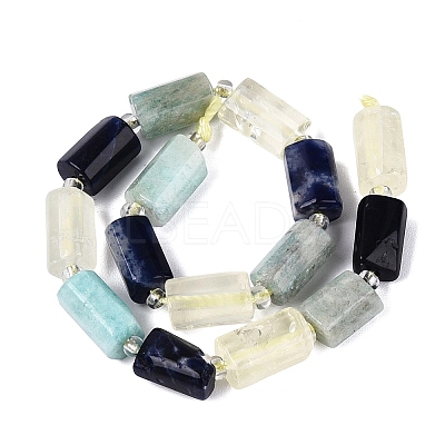 Natural Sodalite & Flower Amazonite & Lemon Quartz Beads Strands G-Q614-01A-01-1