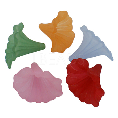 Transparent Frosted Calla Lily Acrylic Beads X-BSF796M-1