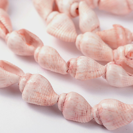 Natural Sea Shell Conch Bead Strands LS-BSHE-O009-11-1