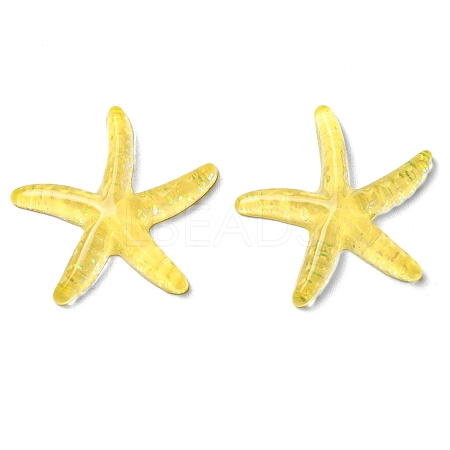 Translucent Resin Sea Animal Cabochons LS-RESI-B016-01A-1