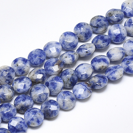 Natural Blue Spot Jasper Beads Strands G-S357-F06-1