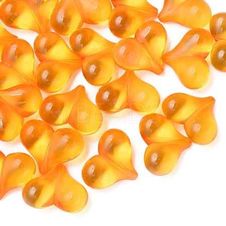 Transparent Acrylic Beads MACR-S373-70-B16-1