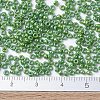 MIYUKI Round Rocailles Beads X-SEED-G007-RR0480-4