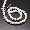 Shell Pearl Beads Strands BSHE-E008-8mm-12-3