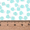 FGB Frosted Transparent Glass Seed Beads SEED-N013-03A-10-4
