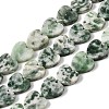 Natural Green Spot Jasper  Beads Strands G-M403-A22-03-2