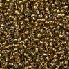 TOHO Round Seed Beads SEED-JPTR11-0279-2