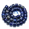Natural Lapis Lazuli Beads Strands G-K245-C06-04-2