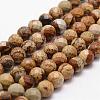 Natural Picture Jasper Beads Strands G-D840-47-8mm-1