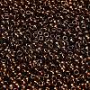 TOHO 8/0 Round Beads X-SEED-TR08-0501-2