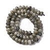 Natural Labradorite Beads Strands G-P587-D13-02-3