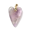Natural Fluorite Pendants G-E570-01G-01-2