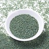 MIYUKI Delica Beads SEED-X0054-DB1282-2