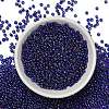 FGB 8/0 Grade A Round Glass Seed Beads SEED-Q010-3mm-F544-5