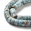 Natural Larimar Beads Strands G-Q024-B03-05-4