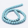 Synthetic Turquoise Beads Strands X-TURQ-F009-02-6x6mm-2