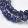 Natural Sodalite Beads Strands G-E110-6mm-3-3