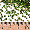 12/0 Grade A Round Glass Seed Beads SEED-Q007-F55-3