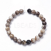 Natural Silver Leaf Jasper Beads Strands G-K181-6mm-O01-3