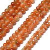 Natural Malaysia Jade Beads Strands G-L645-C01-10mm-29-2
