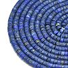 Natural Lapis Lazuli Beads Strands X-G-P575-B01-4x2mm-3