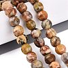 Natural Crazy Agate Beads Strands G-Q608-08A-05-1