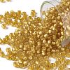 TOHO Round Seed Beads X-SEED-TR08-0022BF-1