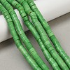 Synthetic Turquoise Beads Strands G-V003-A01-04-1
