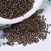 MIYUKI Delica Beads X-SEED-J020-DB0460-1
