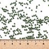 TOHO 11/0 Round Beads SEED-JPTR11-0119-4