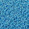 MIYUKI Round Rocailles Beads X-SEED-G009-RR0433-3