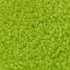 MIYUKI Delica Beads SEED-JP0008-DB0766-3