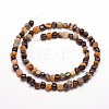 Natural Petrified Wood Beads Strands G-F465-20B-2