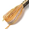 10 Skeins 6-Ply Polyester Embroidery Floss OCOR-K006-A18-2