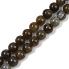 Natural Labradorite Beads Strands G-I253-01-8mm-2